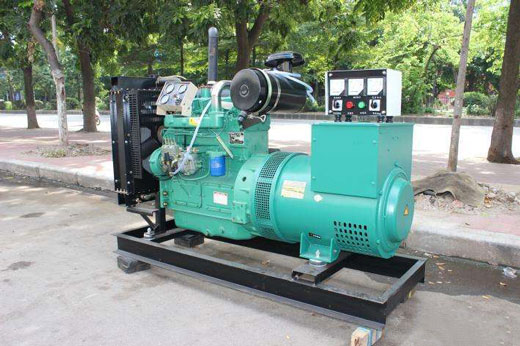 新蔡发电机不发电的原因